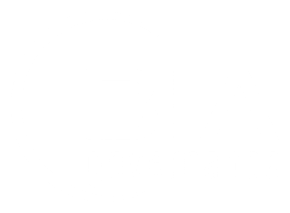 BIA Governance